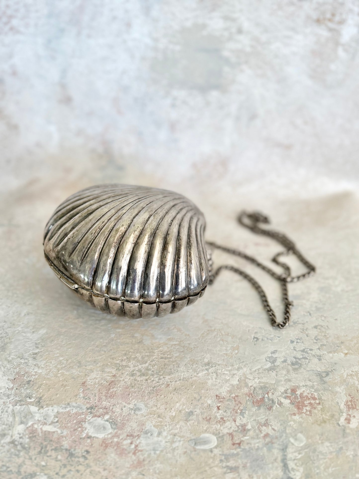 x SOLD x Handbag Silver Shell Purse