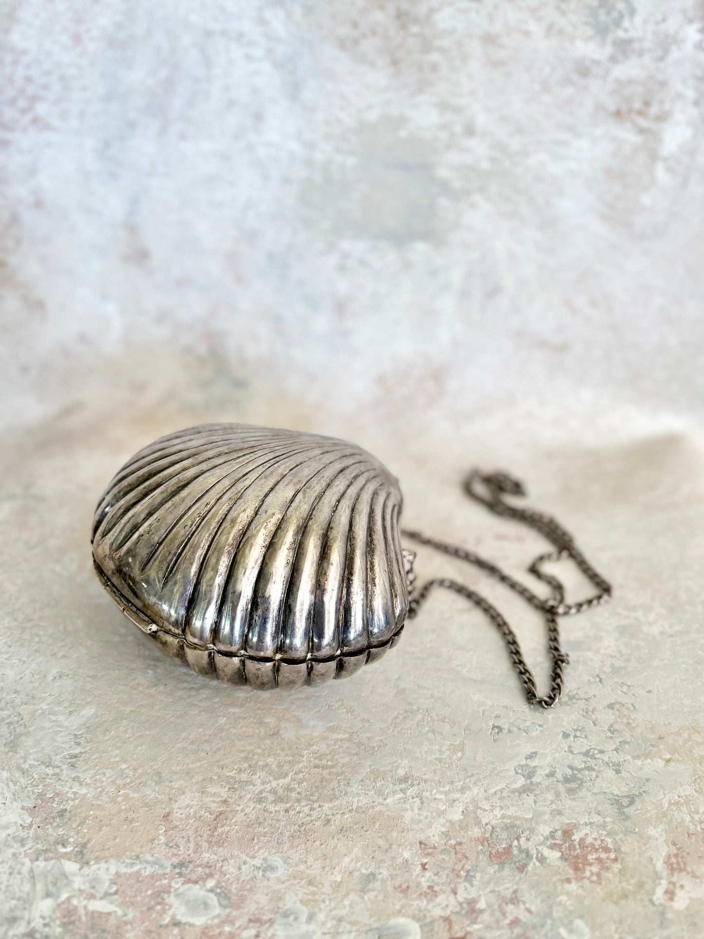 x SOLD x Handbag Silver Shell Purse
