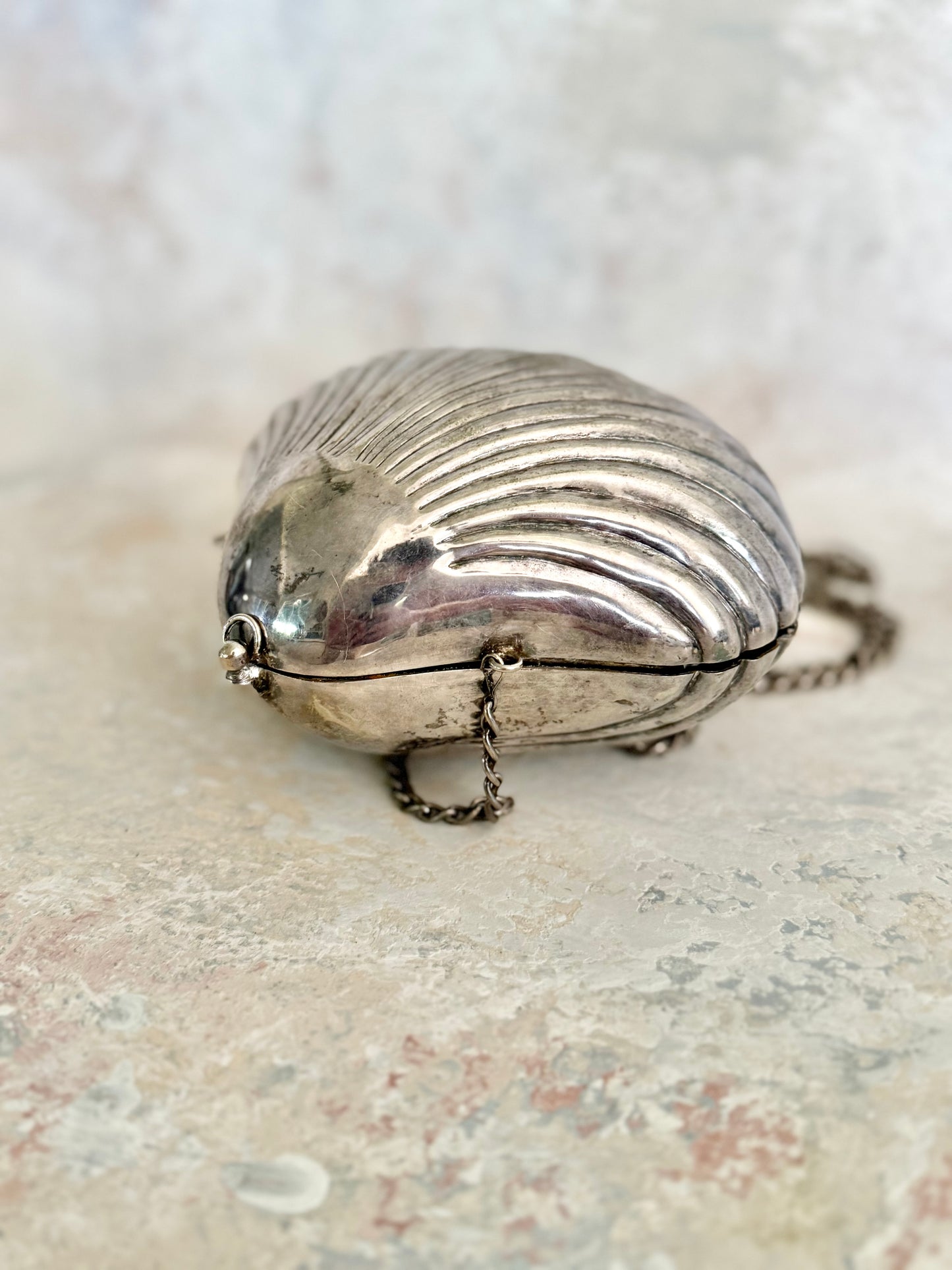 x SOLD x Handbag Silver Shell Purse
